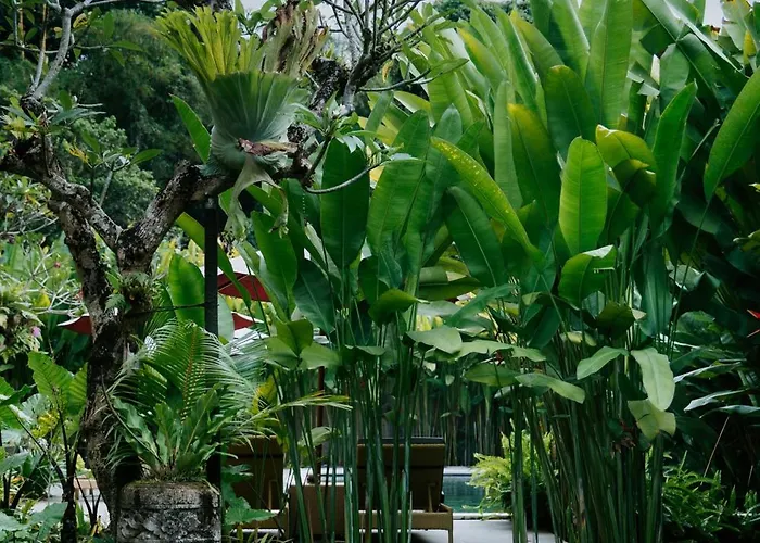 Sanubari Hotel